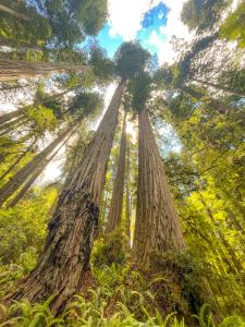 Naturlandskabet i nærheden af feriehuset + 5 billeder