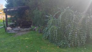 Giardino di Chalupa U Kolibříka