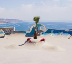 a palm tree sitting in the middle of a skate park at Eco Bay Surf House in Agadir
