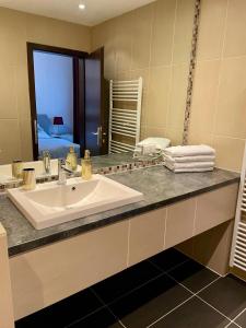 a bathroom with a sink and a large mirror at Wienerwald Apartments in Baden +13 photos