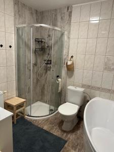 a bathroom with a shower and a toilet and a sink at Chata u potoka Bublava in Bublava