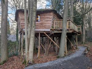 a tree house in the middle of the woods at B&B La Cabane du Bois Dormant in Spa