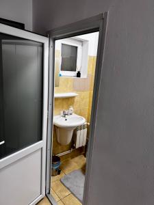 a bathroom with a sink and a mirror and a toilet at Home Efrem in Bucharest