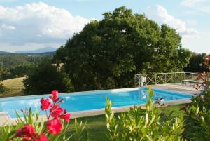 einen Pool in einem Garten mit Blumen in der Unterkunft Agriturismo Podere Alberese in Asciano