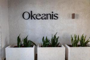 Photo de la galerie de l'établissement Okeanis Mystique South, à Ierápetra