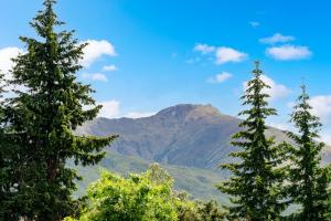 eine Gruppe von Bäumen mit einem Berg im Hintergrund in der Unterkunft Mountain Majesty on Orchard-Wanaka Holiday Home in Wanaka