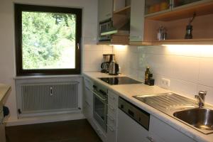 Elle comprend une petite cuisine avec un évier et une fenêtre. dans l'établissement Montafon Apartment, à Schruns