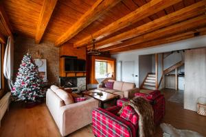 Posezení v ubytování Chalet Belle Vue