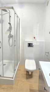 Kúpeľňa v ubytovaní Apartamenty Miku