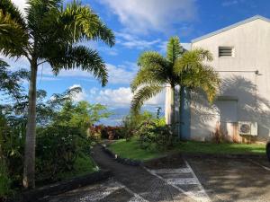 a house with two palm trees next to a street at Ans'O - Les Anses d'Arlet in Les Anses-dʼArlets