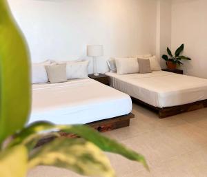 Ένα ή περισσότερα κρεβάτια σε δωμάτιο στο Beachfront Apartment with Two Queen Beds, Kitchen and Balcony