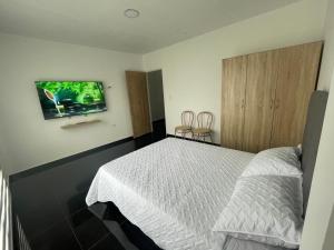 RoldanilloApartaestudio en pueblo mágico的一间卧室，墙上有一张床和一台电视