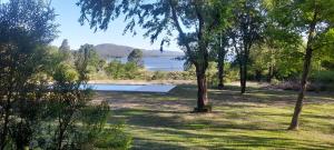 a view of a lake from a park with trees at Punta Molinos in La Estancia