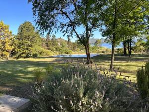 a park with a picnic table and trees and grass at Punta Molinos in La Estancia