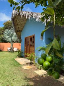 a blue house with a basket on top of it at Maison Annick in Fortim