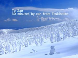 a snow covered forest of trees in the snow at Tsukinoike in Kaminoyama