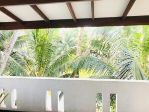 a view of palm trees from a window at River Beach View in Hikkaduwa