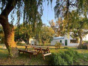 a picnic table sitting next to a tree at Finca Santo Pietro in T. Yofré
