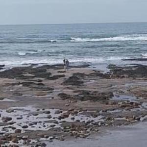 Landskap semula jadi dekat dengan homestay