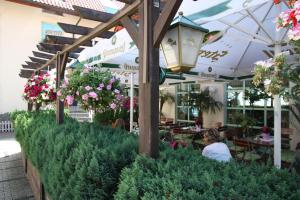 Zahrada ubytování Hotel Bürgerhof