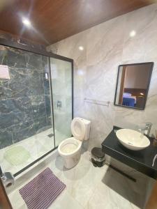 a bathroom with a toilet and a shower and a sink at Hotel Junior in Caazapá +16 photos