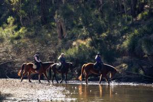 three people are riding horses in the water at Luxury Riverside Glamping Tents - Adults Only Retreat in Capertee