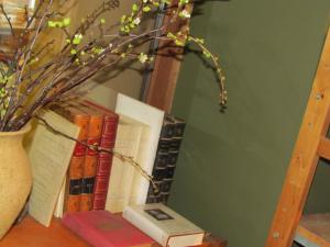 Knihovna v bed and breakfast