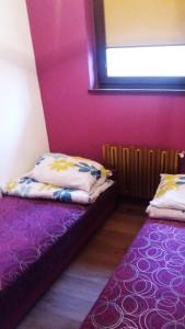 En eller flere senge i et værelse på Bacówka Jamna