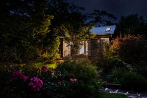 Falls Rest - A Wentworth Falls Hideaway外面的花园