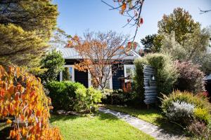 Falls Rest - A Wentworth Falls Hideaway外面的花园