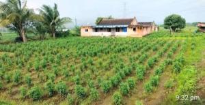 Zahrada ubytování Weekend Holiday Farmhouse & Malshej Junnar Camping Resort