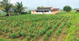 Zahrada ubytování Weekend Holiday Farmhouse & Malshej Junnar Camping Resort