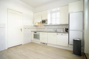 Kuchyň nebo kuchyňský kout v ubytování spacious new appartment + 17 fotografií