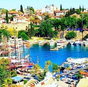 Příroda nedaleko apartmánu