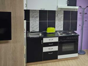 Η κουζίνα ή μικρή κουζίνα στο Apartman LENI2 u centru Zajecara