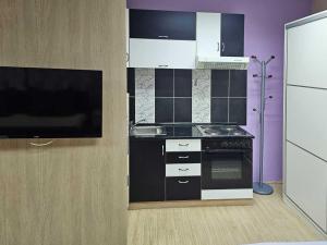 Η κουζίνα ή μικρή κουζίνα στο Apartman LENI2 u centru Zajecara