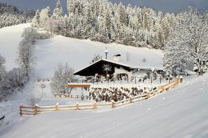Το CHALET KITZBICHL by Alpin Charme Apartments τον χειμώνα