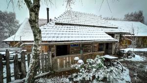 a log cabin with snow on the roof at Casa Fierarului in Şinteu
