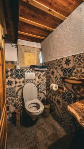 a bathroom with a toilet in a room with tiles at Casa Fierarului in Şinteu
