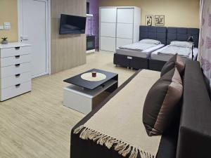 Μια τηλεόραση ή/και κέντρο ψυχαγωγίας στο Apartman LENI2 u centru Zajecara