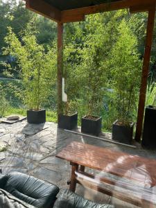 Zahrada ubytování Jarmenovci Glamping Resort