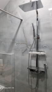 a shower head in a room with a glass wall at Casa Anda in Pucioasa +39 photos
