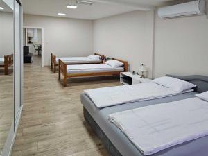 Ένα ή περισσότερα κρεβάτια σε δωμάτιο στο Apartman LENI2 u centru Zajecara
