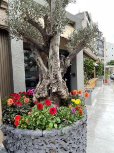 a tree in a pot with flowers in it at Wolf Suites in Antalya