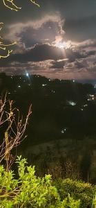 Příroda nedaleko kapslového hotelu