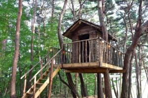 Fotografie z fotogalerie ubytování Seosan Godeunnam Glamping v destinaci Seosan