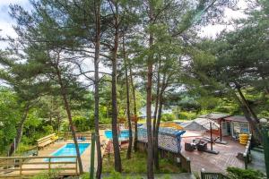 an image of a swimming pool at a resort at Hoengseong Marshmallow Pool Villa pets allowed in Hoengseong