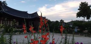 un giardino con fiori rossi di fronte a un edificio di Manhoe Gotaek a Bonghwa