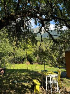 Κήπος έξω από το the old hut