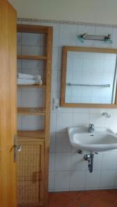 a bathroom with a sink and a mirror at Schneiderhof in Steinbach